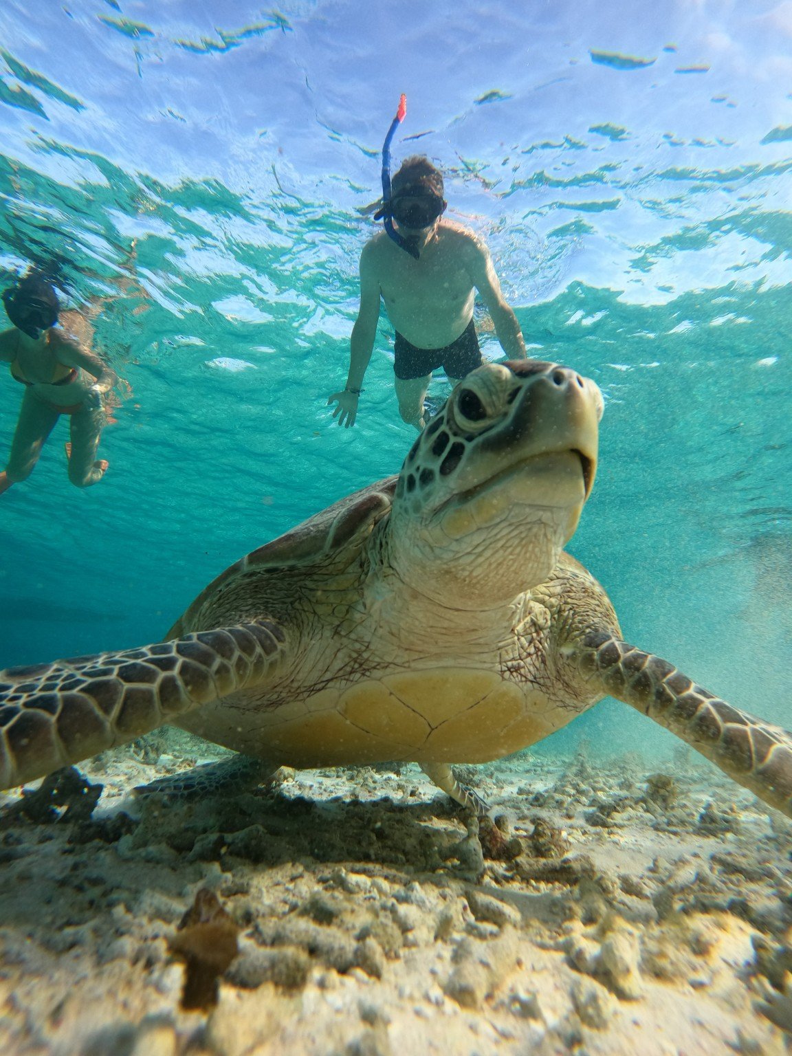Snorkeling Trip